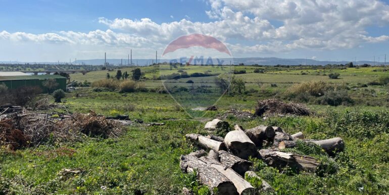 20250224131744-932055-5