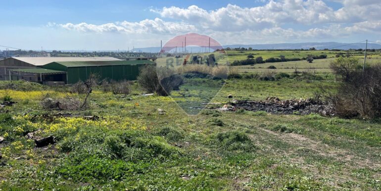 20250224131744-932055-6