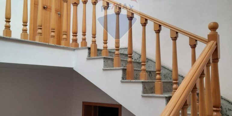 20250224162054-932127-24