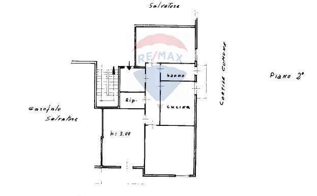 2025022495101-929171-31