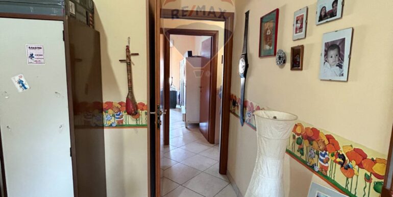 20250226115409-932525-6