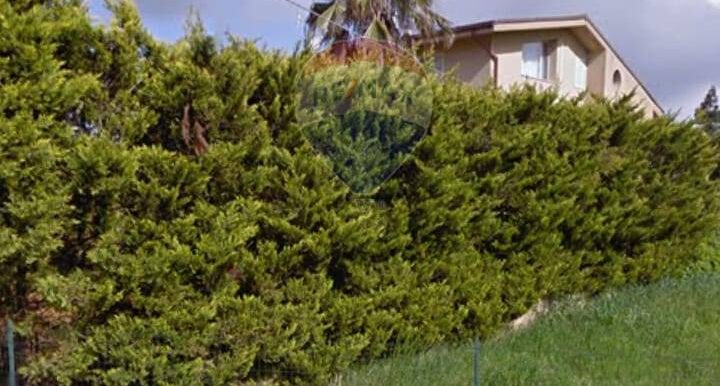 20250227105042-932798-4