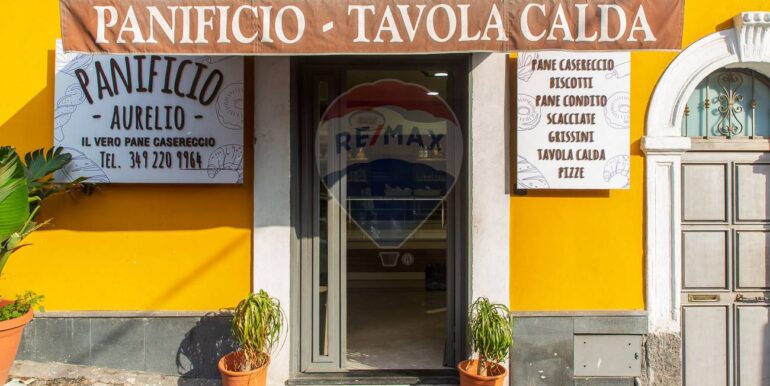 20250228122711-933155-5