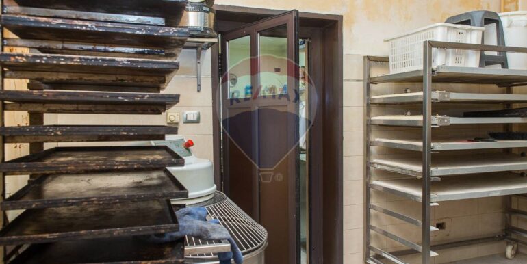 20250228122740-933155-21