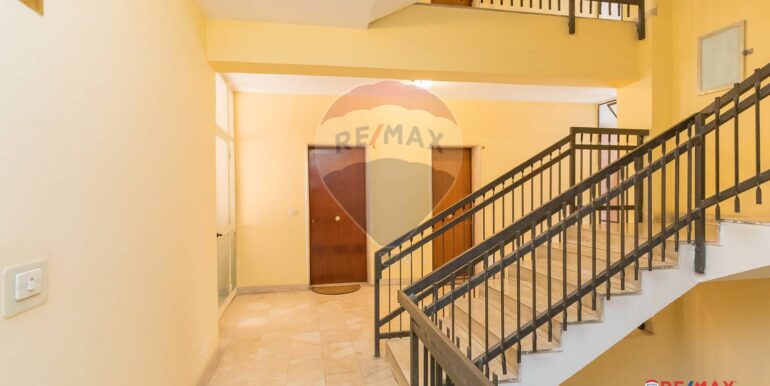 20250228205600-933365-13