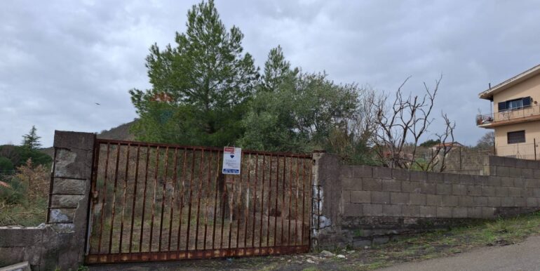 20250301193337-849937-18