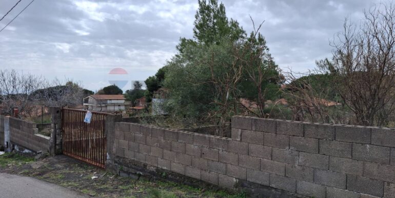 20250301193339-849937-19