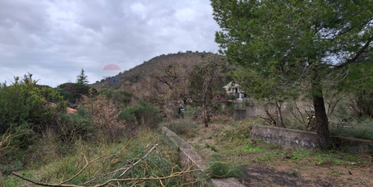 20250301193346-849937-21