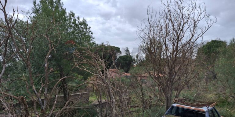 20250301193353-849937-23