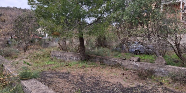 20250301193400-849937-25