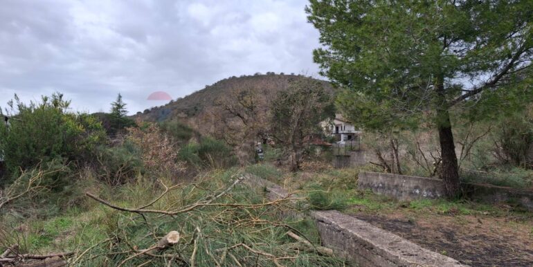 20250301193407-849937-27