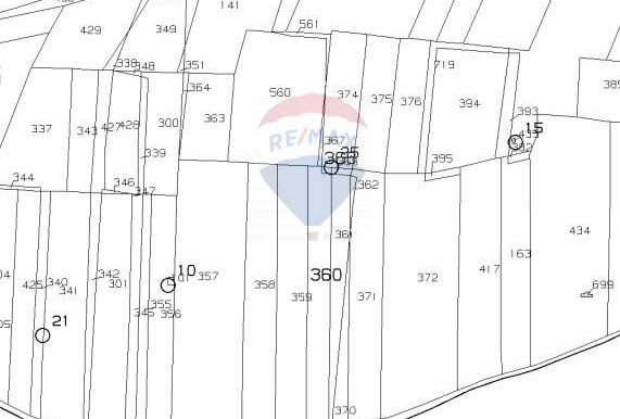 2025030401010-930685-43