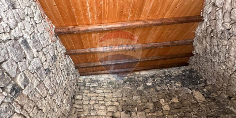 20250306102920-934239-1