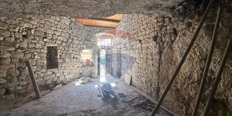 20250306102926-934239-5