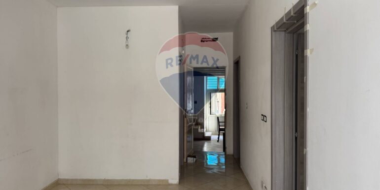 20250306104935-934237-4