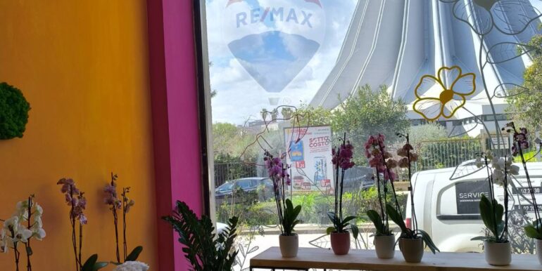 20250309152701-934861-1