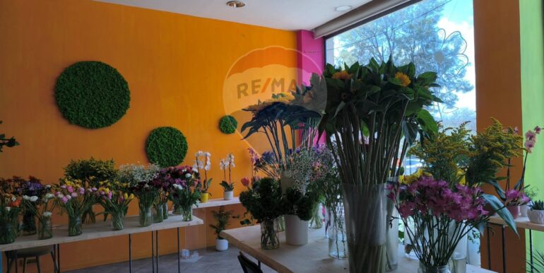 20250309152702-934861-2