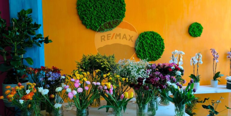 20250309152704-934861-3