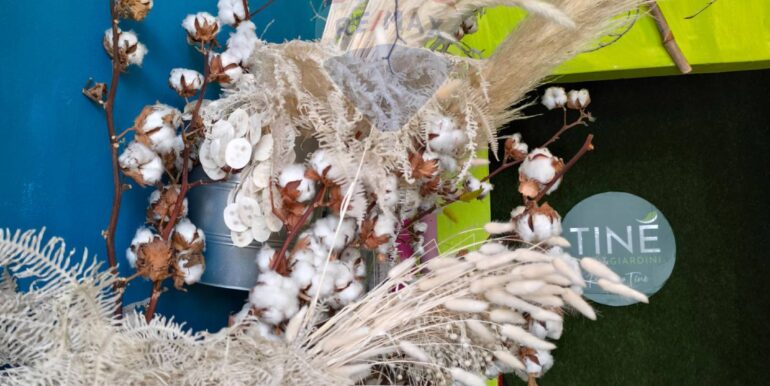 20250309152707-934861-5