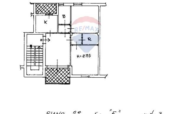 20250309225018-932051-10