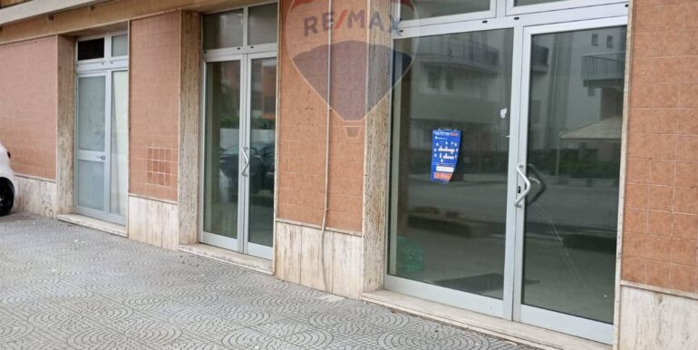 20250313121006-936175-5