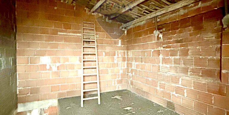 20250313155001-936174-3