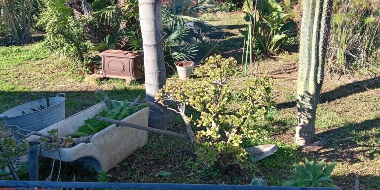 20250313163049-936228-6