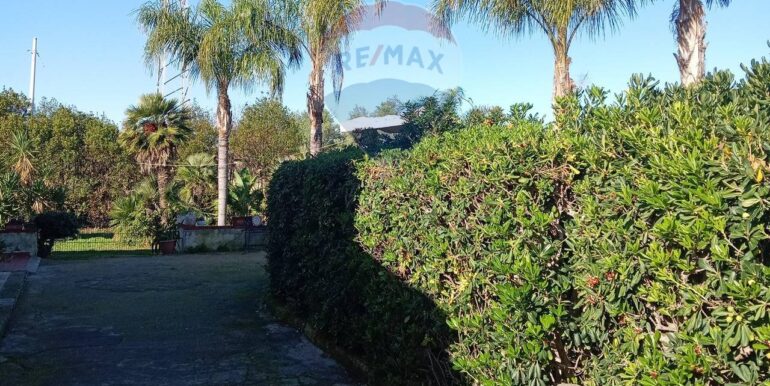 20250313163052-936228-7