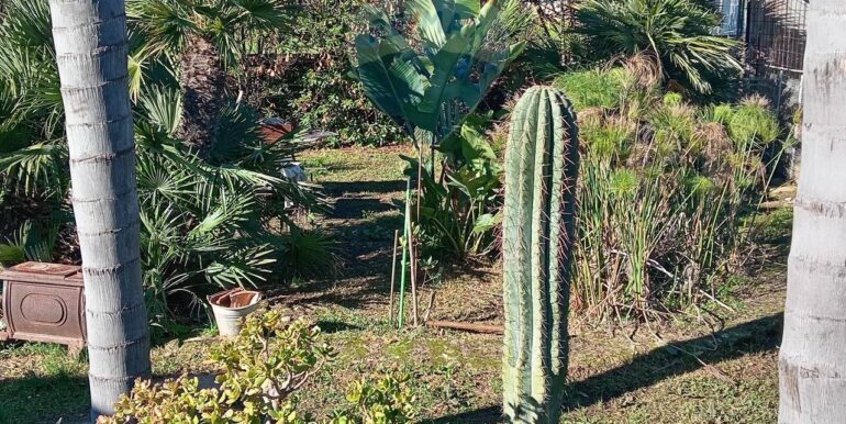 20250313163056-936228-8