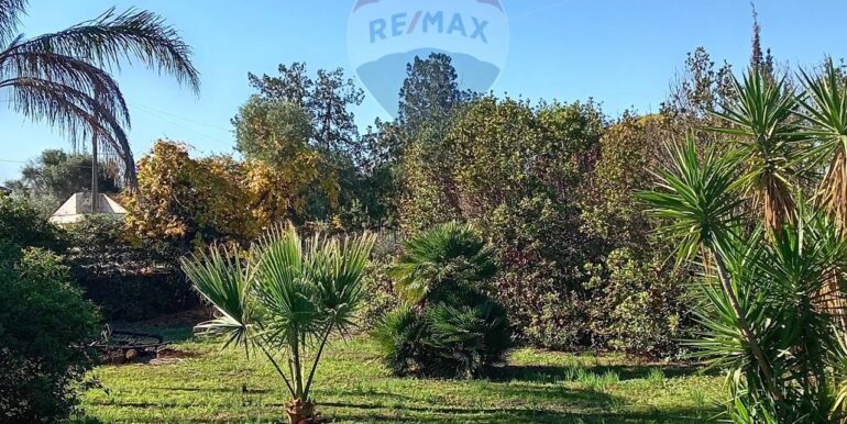 20250313163059-936228-9