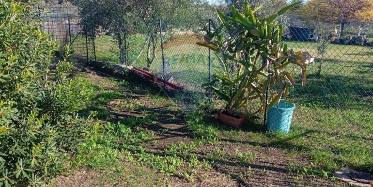 20250313163102-936228-10