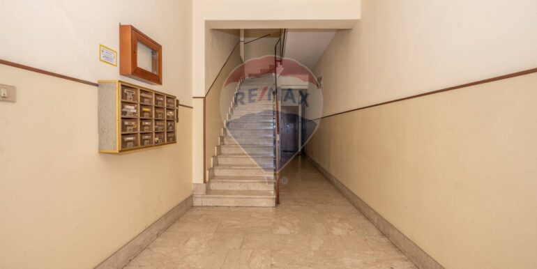 20250314122418-936362-19