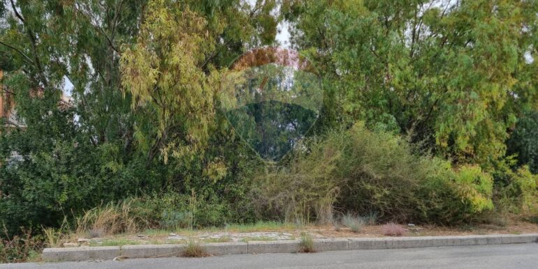 20250317170931-936816-0