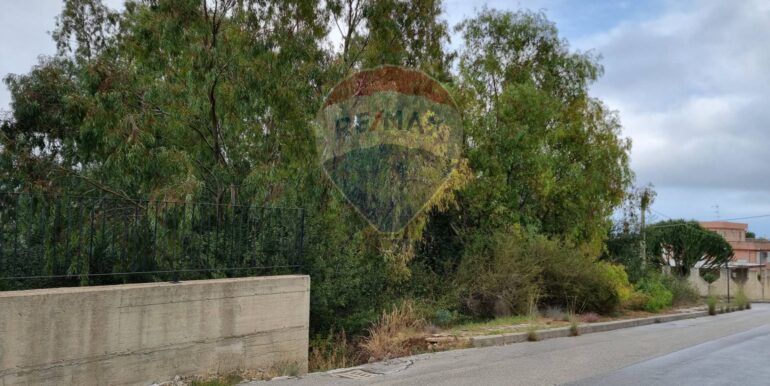 20250317170932-936816-1