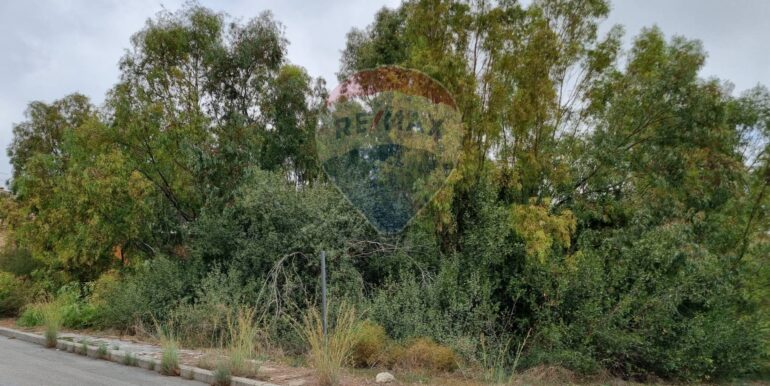 20250317170932-936816-3