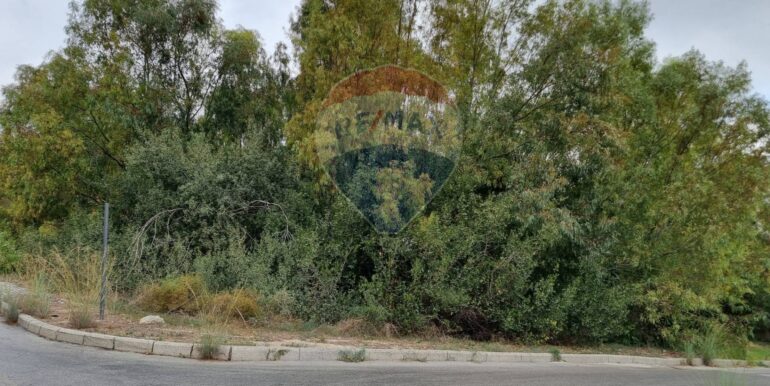 20250317170933-936816-4