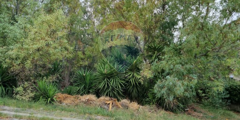 20250317170933-936816-5