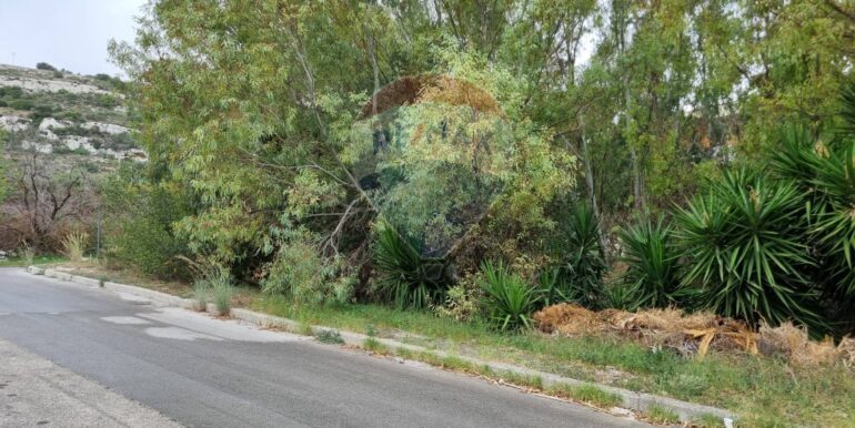 20250317170933-936816-6