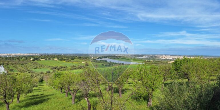 2025031793425-936190-3