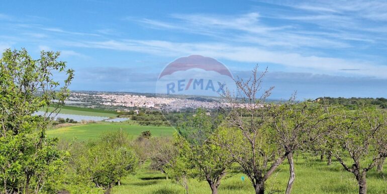 2025031793431-936190-4