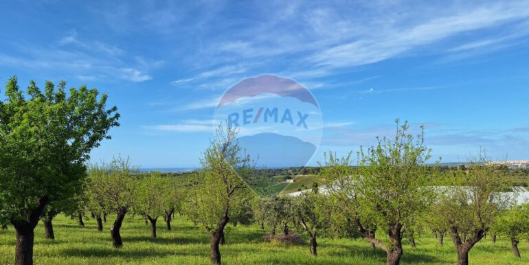 2025031793435-936190-5