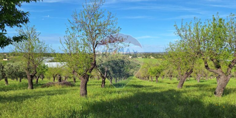 2025031793441-936190-6