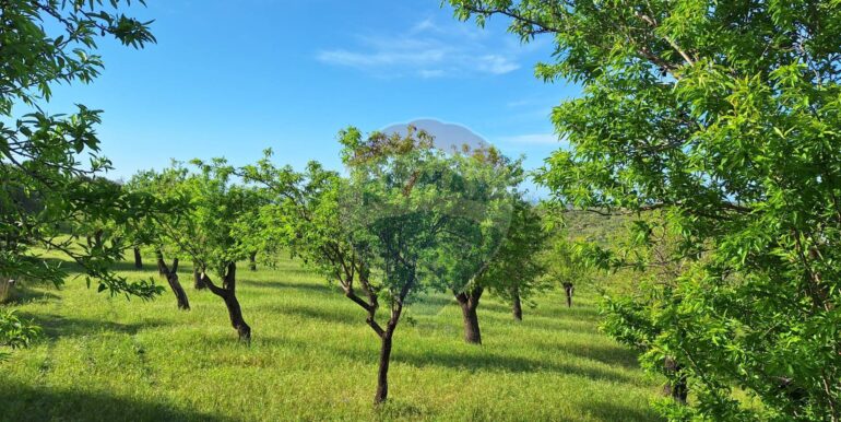 2025031793445-936190-7