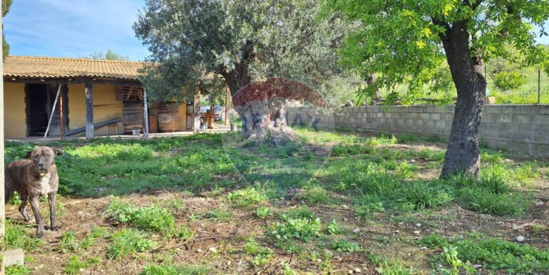 2025031793451-936190-8