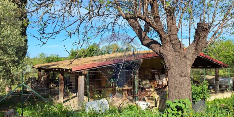 2025031793455-936190-9