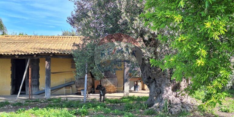 2025031793509-936190-11