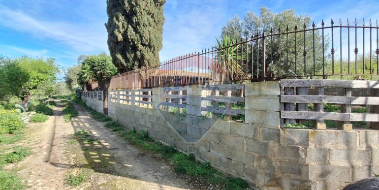 2025031793514-936190-12