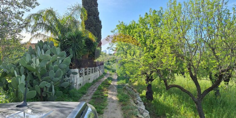 2025031793520-936190-13