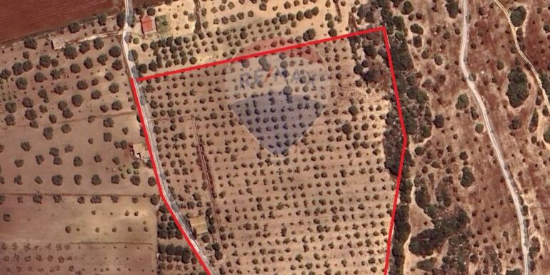 2025031793524-936190-14