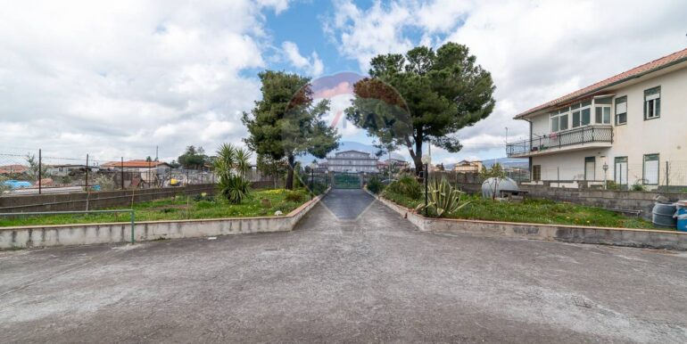 20250318154019-937224-6